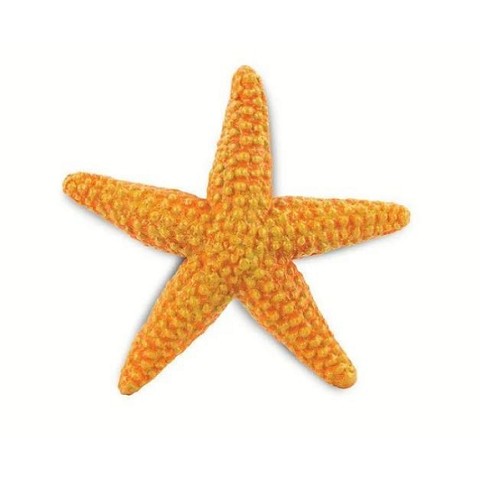 Stella Marina Arancione