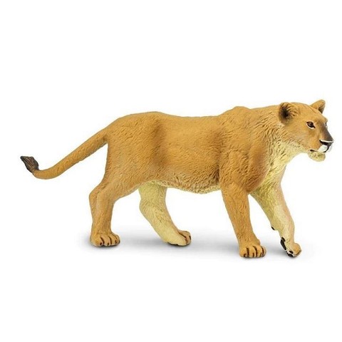 Leonessa