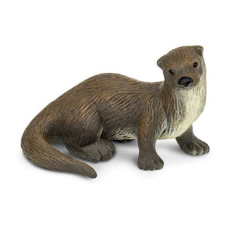 Lontra