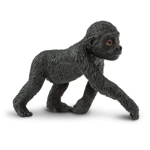 Gorilla Cucciolo