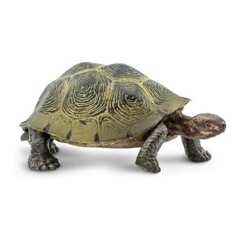 Tartaruga del Deserto