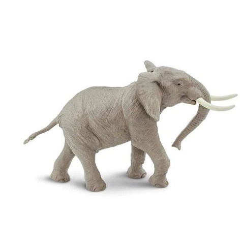 Elefante Africano