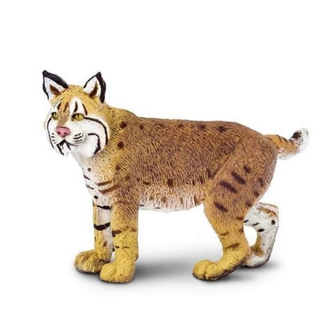 Lince Rossa