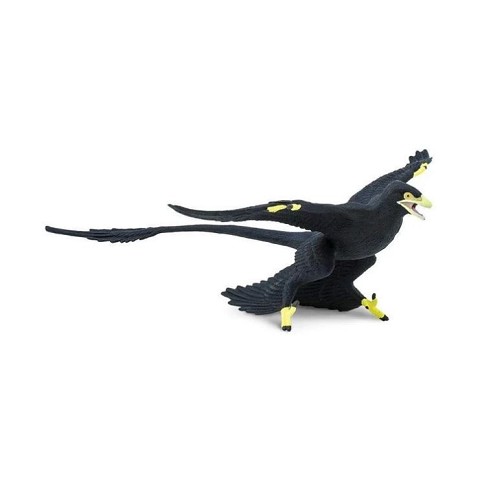 Microraptor