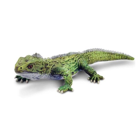 Tuatara della Nuova Zelanda