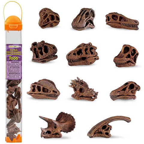 Tubo TOOB® Teschi Dinosauri