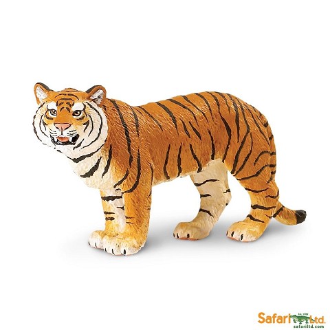 Tigre del Bengala