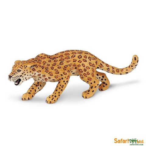Leopardo