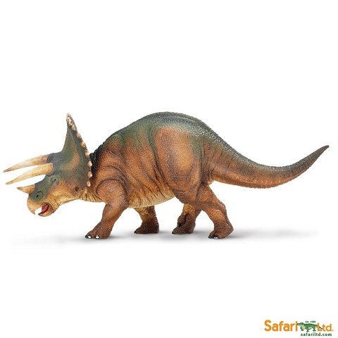 Triceratops