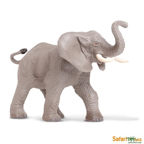 Elefante Africano