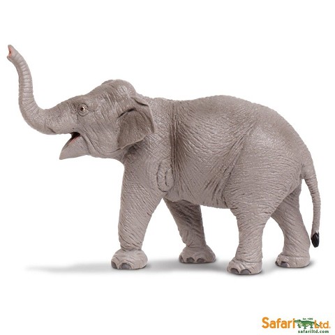 Elefante Asiatico