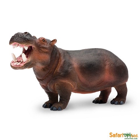 Ippopotamo