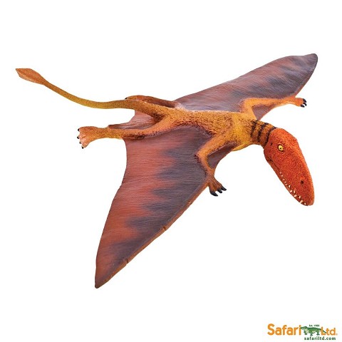 Dimorphodon